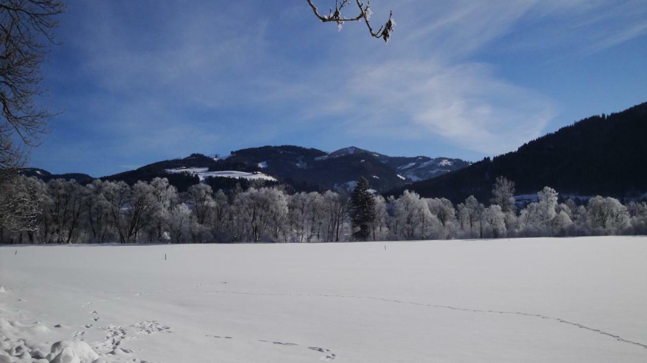Haus Moser Oblarn